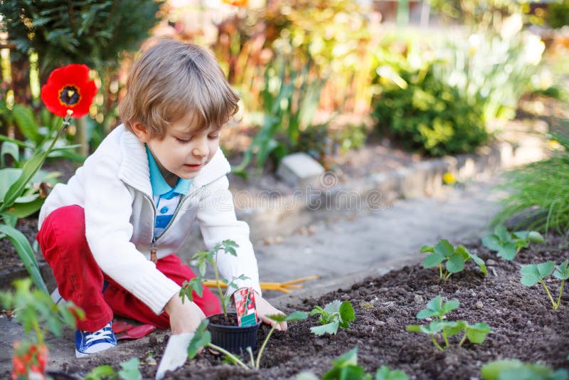 Planting boy