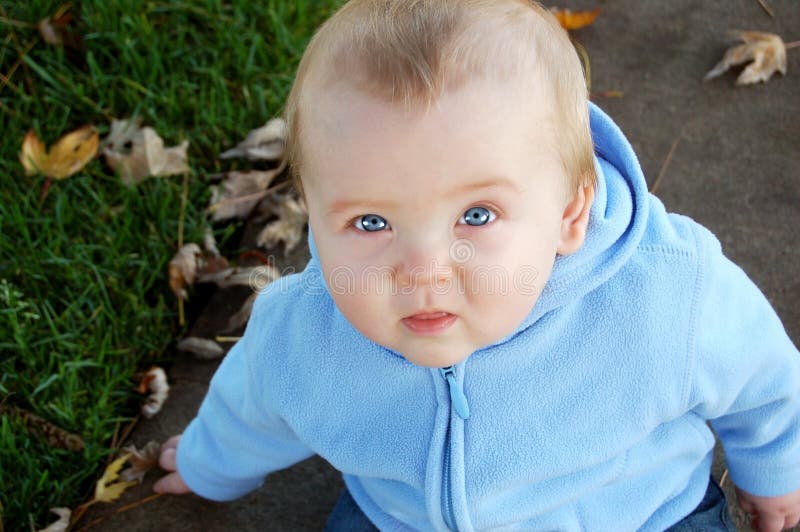 233 Chubby Blue Eyed Baby Stock Photos - Free & Royalty-Free Stock Photos from Dreamstime 233 Chubby Blue Eyed Baby Stock Photos - Free & Royalty-Free Stock Photos from Dreamstime