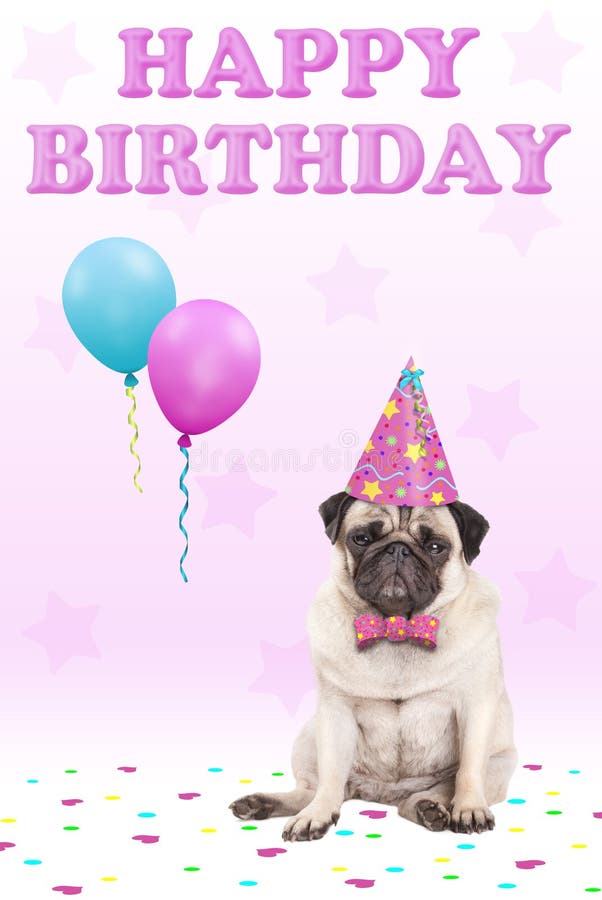Adorable cute grumpy faced pug puppy dog with party hat, balloons, confetti and text happy birthday, on pink background