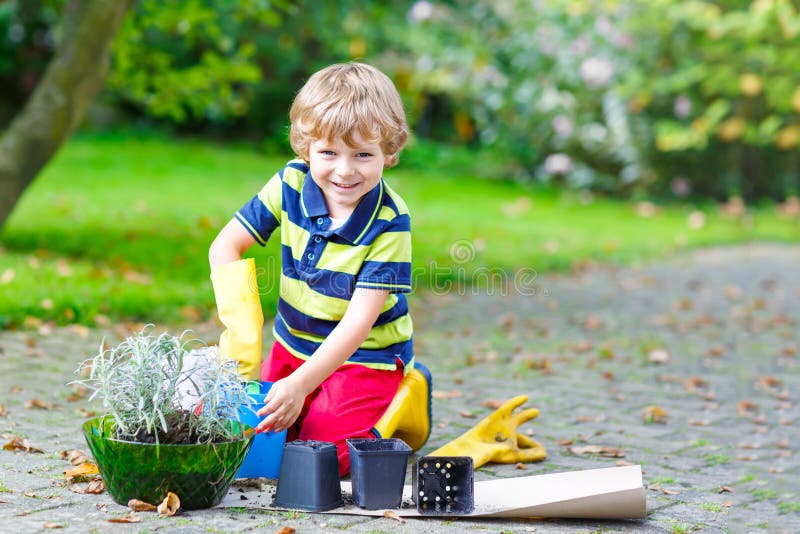 Funny Little Kid Boy Planting Flowers in Garden on Sprinig Stock Photo ...