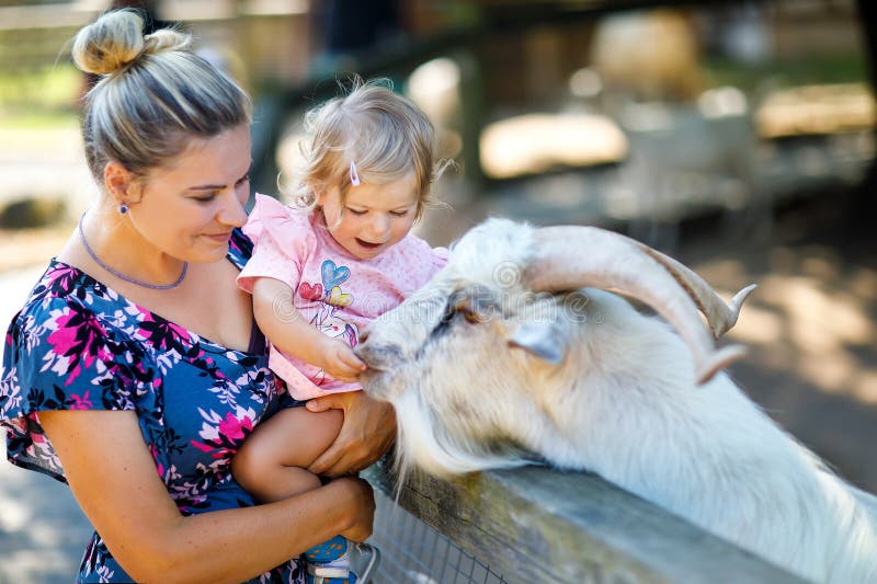 Adorable cute toddler girl and young mother feeding little goats and sheeps on a kids farm. Beautiful baby child petting