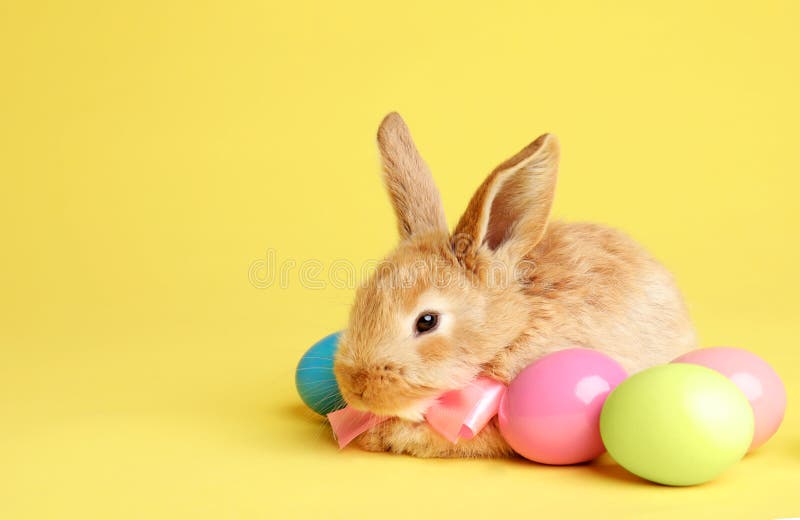 Adorable furry Easter bunny with cute bow tie and dyed eggs on color background