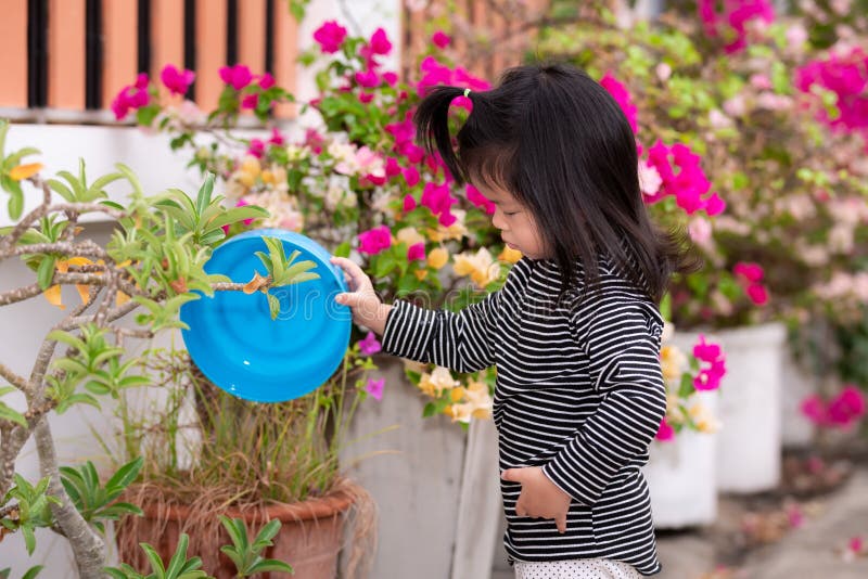 Adorable girl uses a blue bowl to draw extra water to water the plants in front of her house.