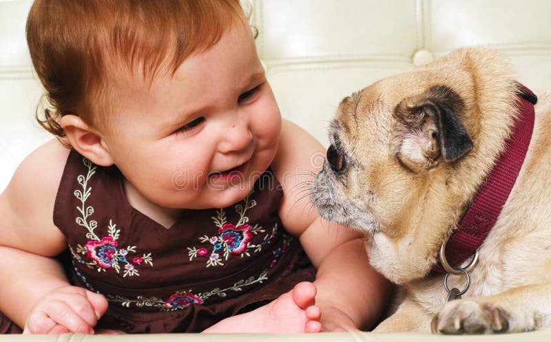 Adorable little baby sitting with pug dog stock images Adorable little baby sitting with pug dog stock images