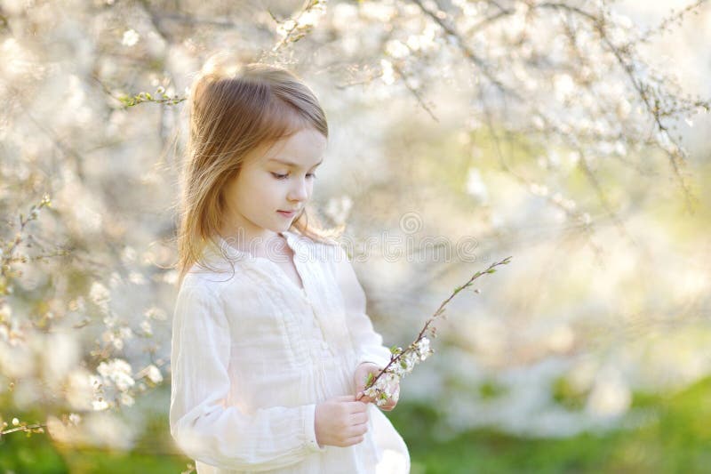 Adorable Little Girl in Blooming Cherry Garden Stock Photo - Image of ...