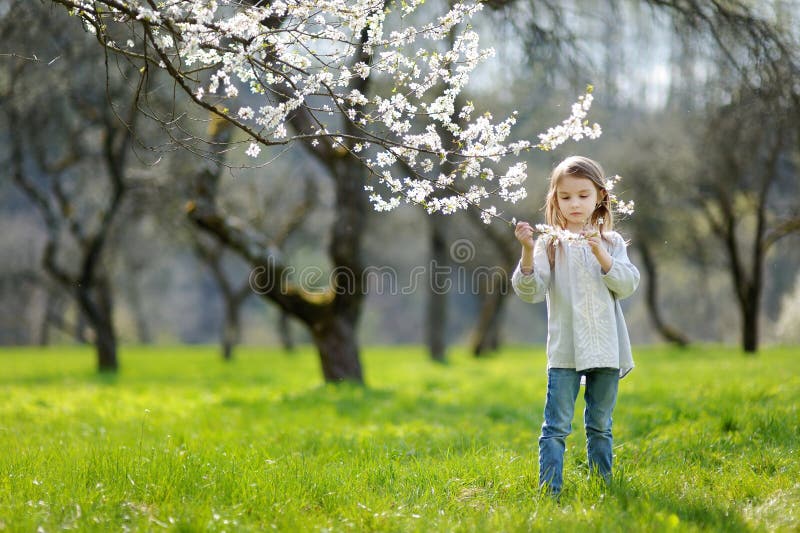 Adorable little girl in blooming cherry garden