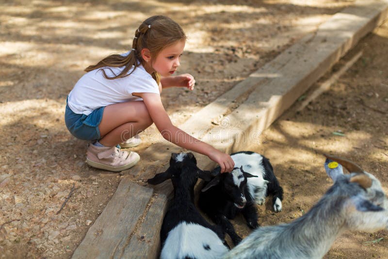 Adorable little girl with little goats at the zoo stock photography Adorable little girl with little goats at the zoo stock photography