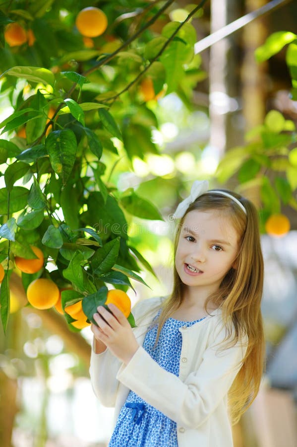 Adorable Little Girl Picking Fresh Ripe Oranges Stock Image - Image of ...