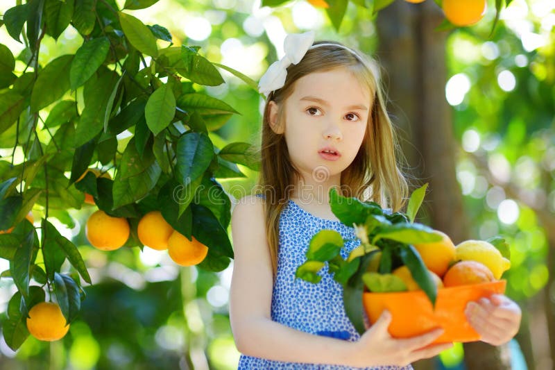 Adorable little girl picking fresh ripe oranges