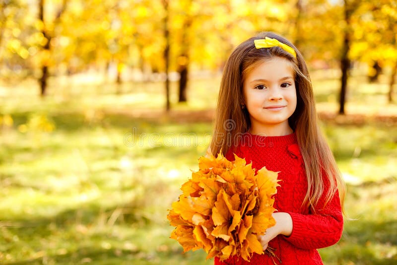 Adorable Little Girl Playing with Autumn Leaves Stock Photo - Image of ...
