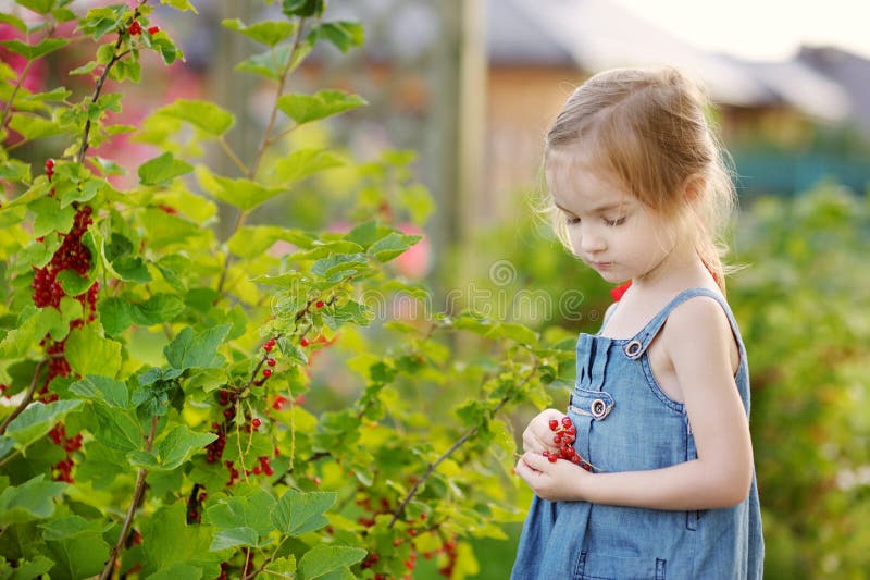 Adorable little girl with red currants