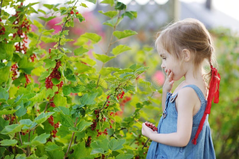 Adorable little girl with red currants