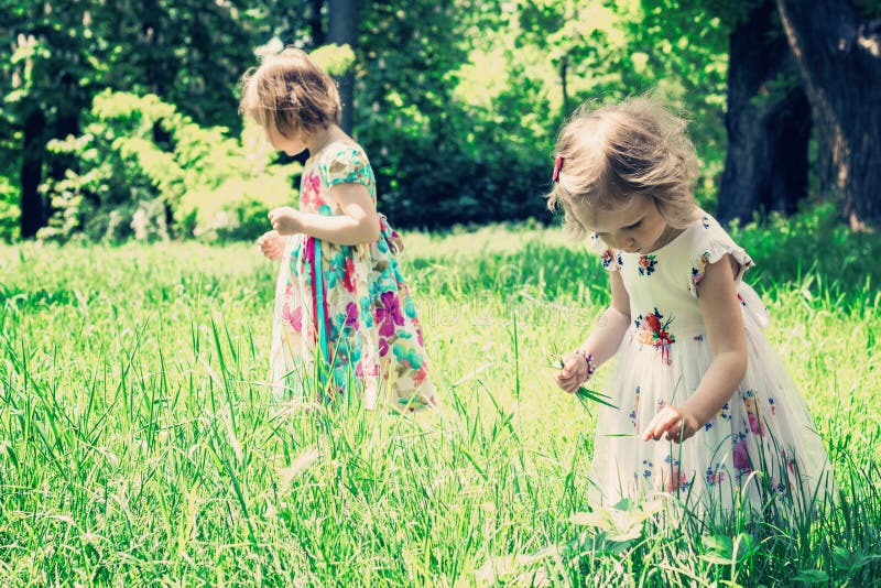 Two Little Sisters In The Summer Garden Stock Image - Image of green ...