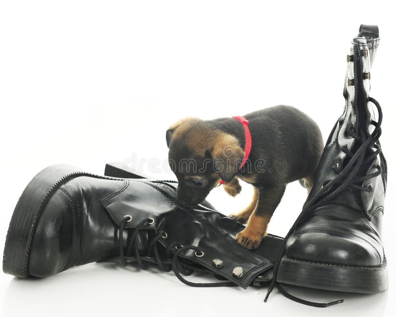 Boots Licking