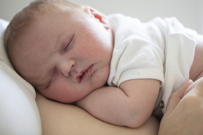 An Adorable Newborn Baby Sleeping on Their Mum Stock Photo Image of newborn, family 265919444