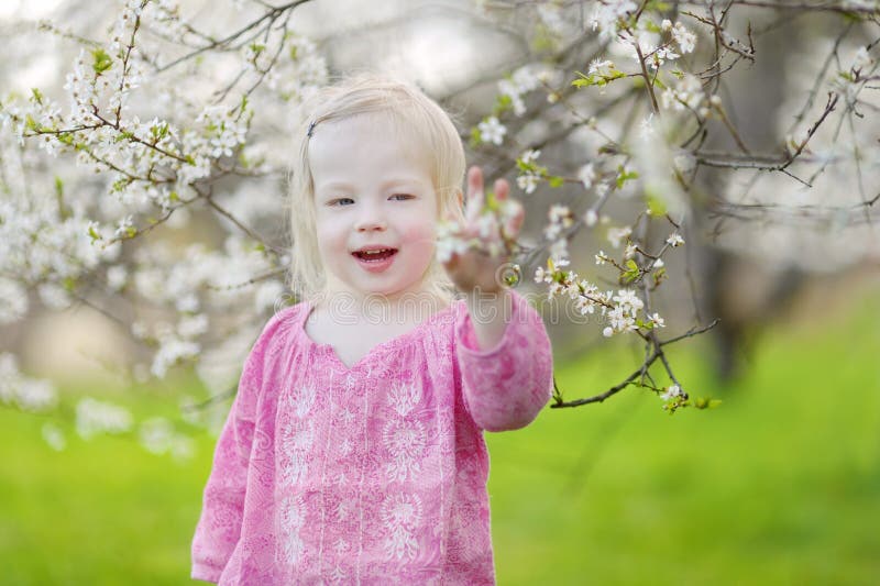 Adorable Toddler Girl in Blooming Cherry Garden Stock Image - Image of ...