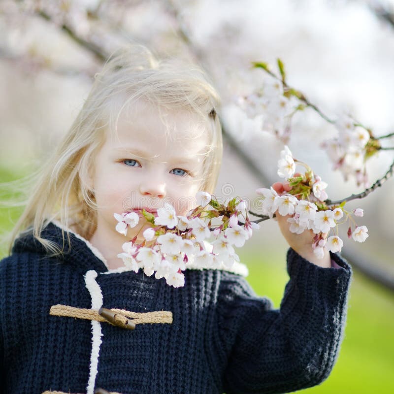 Adorable toddler girl in blooming cherry garden