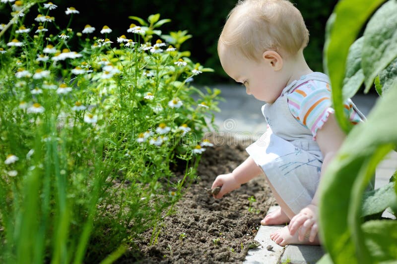 Adorable toddler girl playing