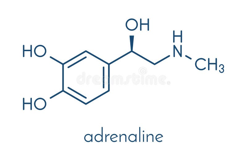 Adrenaline adrenalin, epinephrine neurotransmitter molecule. Used as drug in treatment of anaphylaxis Skeletal formula. Adrenaline adrenalin, epinephrine neurotransmitter molecule. Used as drug in treatment of anaphylaxis Skeletal formula