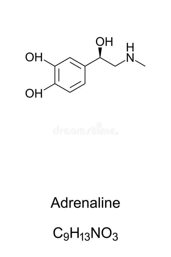 Adrenaline molecule, epinephrine skeletal formula. Structure of C9H13NO3. Hormone, medication and neurotransmitter. Plays a role in fight-or-flight response. Structural formula. Illustration. Vector. Adrenaline molecule, epinephrine skeletal formula. Structure of C9H13NO3. Hormone, medication and neurotransmitter. Plays a role in fight-or-flight response. Structural formula. Illustration. Vector.