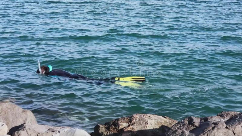 Adriatico Snorkeling