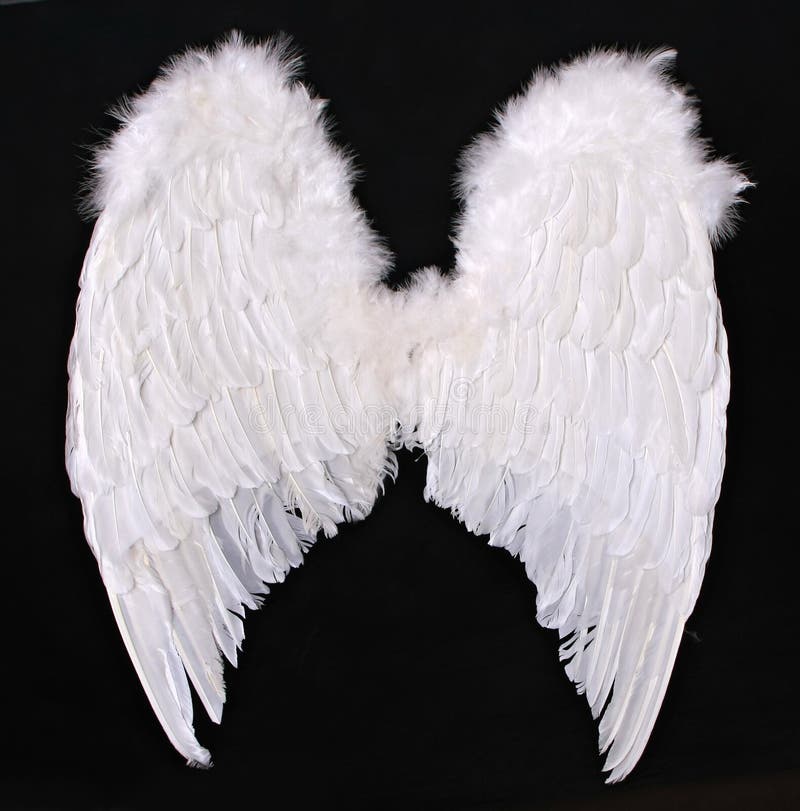 6,654 Angel Black Wings Stock Photos - Free & Royalty-Free Stock Photos  from Dreamstime