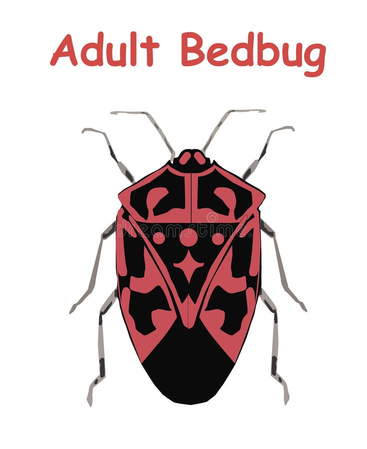 Bug Poster stock vector Illustration of locust Bug Poster stock vector Illustration of locust