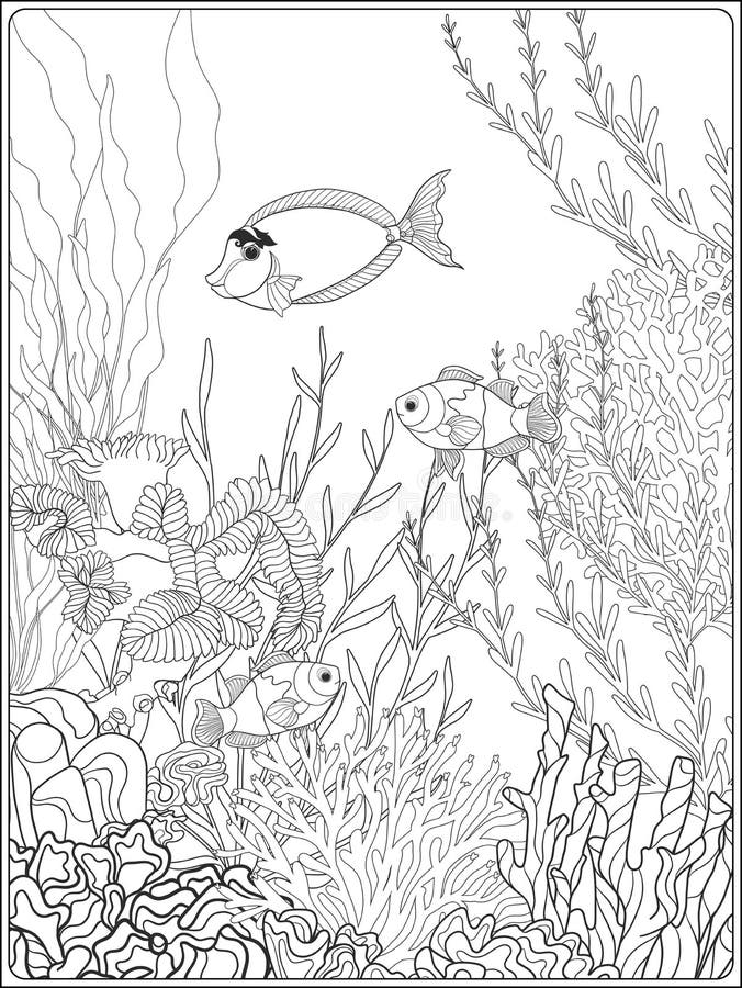 coral reef fish coloring pages