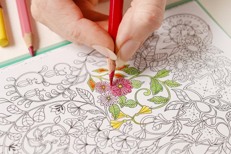 719 Flower Coloring Book Stock Photos - Free & Royalty-Free Stock Photos  From Dreamstime