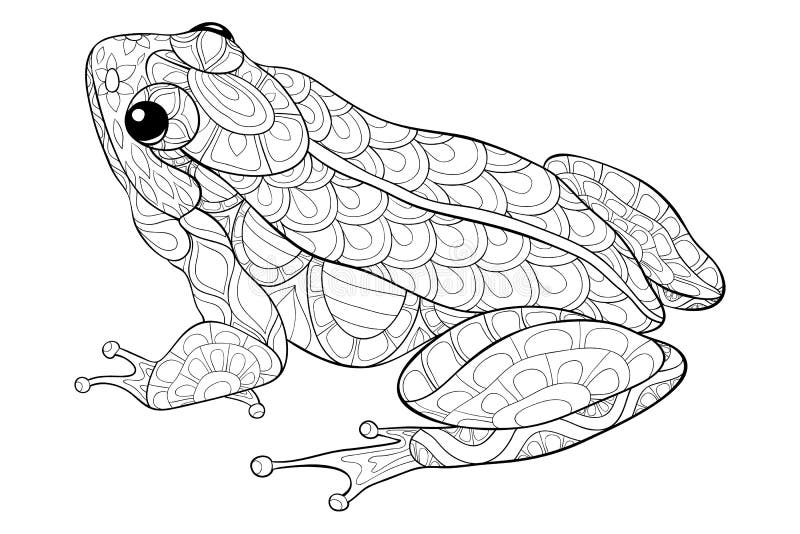adult frog coloring pages