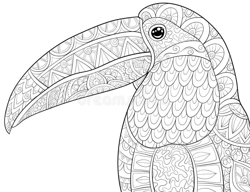 Toucan Coloring Stock Illustrations 410 Toucan Coloring Stock Illustrations Vectors Clipart Dreamstime