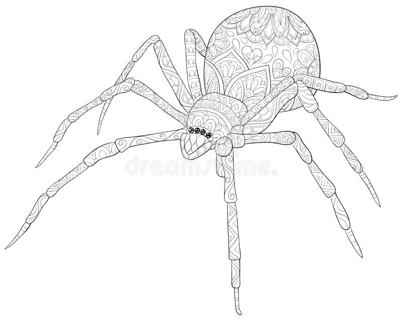 Adult Coloring Book,page a Cute Spider Image for Relaxing.Zen Art Style ...