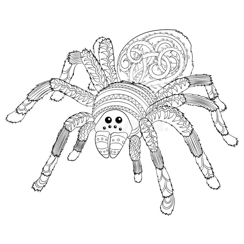 Adult Coloring Page With Halloween Nasty Spider Stock Vector Illustration Of Drawn Adult 127198383