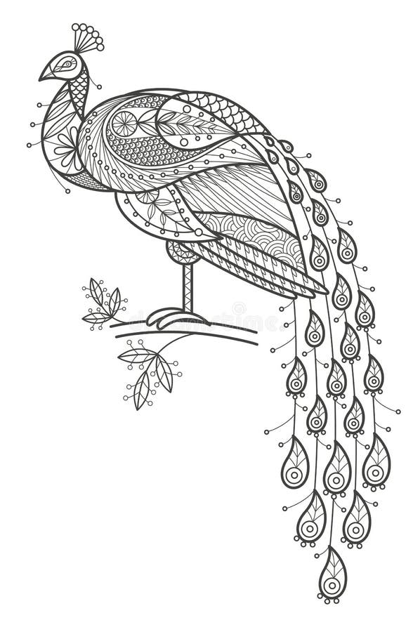 Vector illustration decorative bird peacock on white background. Fashion trend of adult coloration. Bird peacock with elements oriental motif. Black and white bird peacock. Modern vector design. Vector illustration decorative bird peacock on white background. Fashion trend of adult coloration. Bird peacock with elements oriental motif. Black and white bird peacock. Modern vector design.