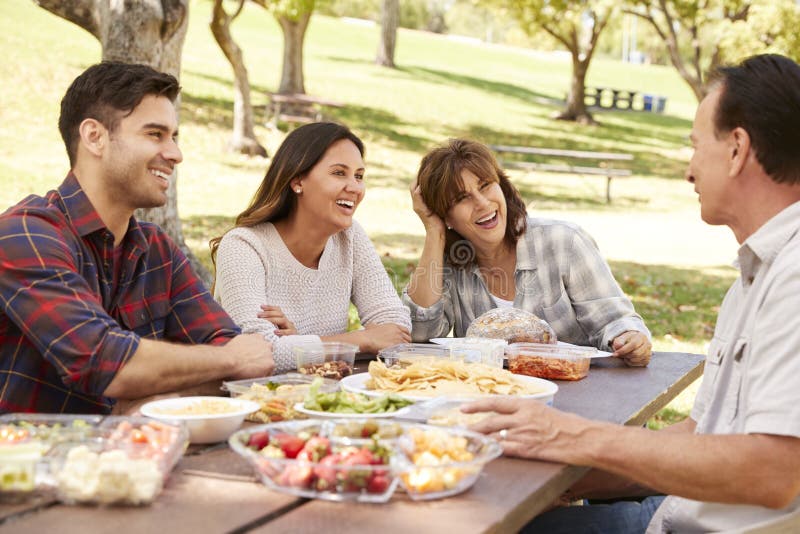 Adult couple and senior parents having a picnic in a park