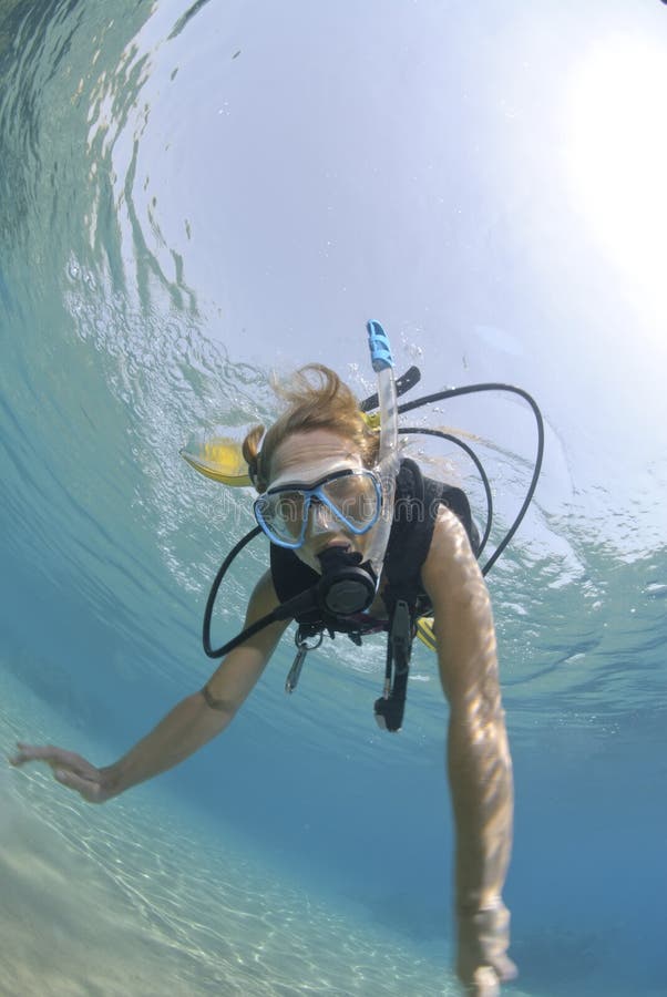 Adult Female Scuba Diver In Bikini Stock Image - Image of sport, people