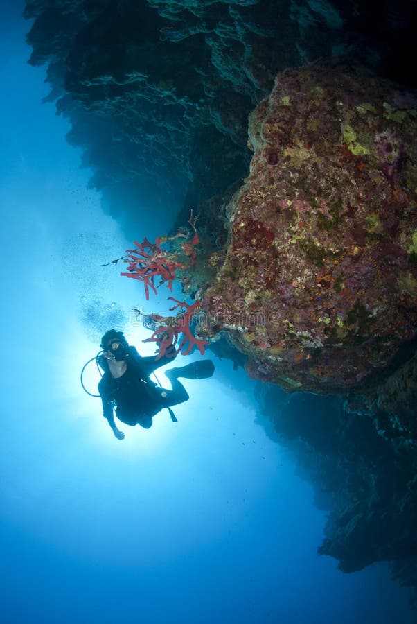 Adult male scuba diver photograhing underwater.