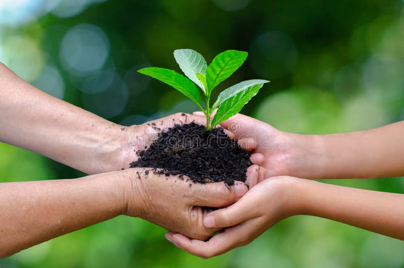 Adulti Bambino a Mano albero ambiente, la Giornata della Terra Nelle mani di alberi che crescono piantine.