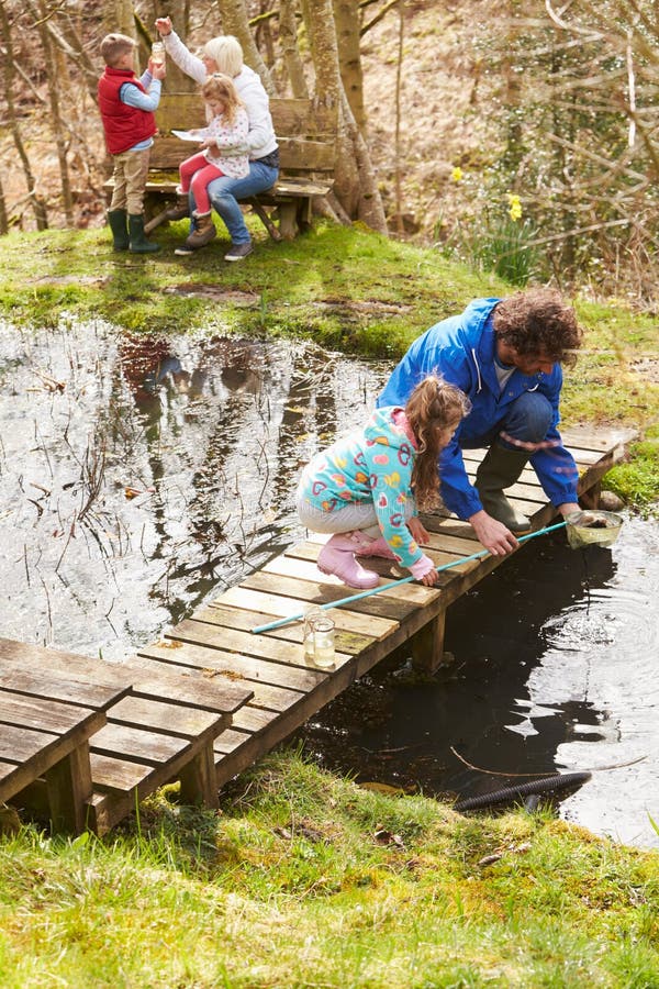 Adults with Children on Bridge at Outdoor Activity Centre Stock Image