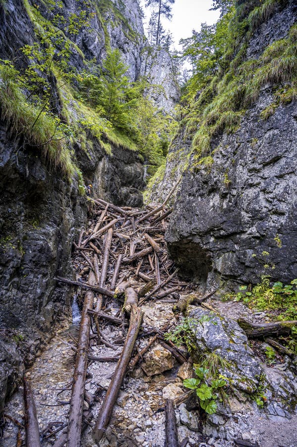 Dobrodružná turistická stezka kaňonem v národním parku Slovenský ráj, Slovensko. Via ferrata v kaňonu Kysel. Discovery travel c