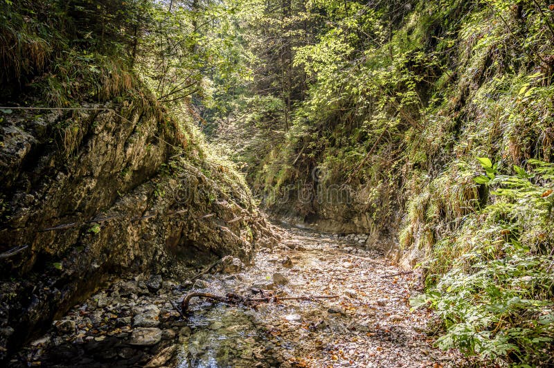 Adventure hiking trail through canyon in Slovak paradise national park, Slovakia.  Via ferrata in canyon Kysel. Discovery travel c