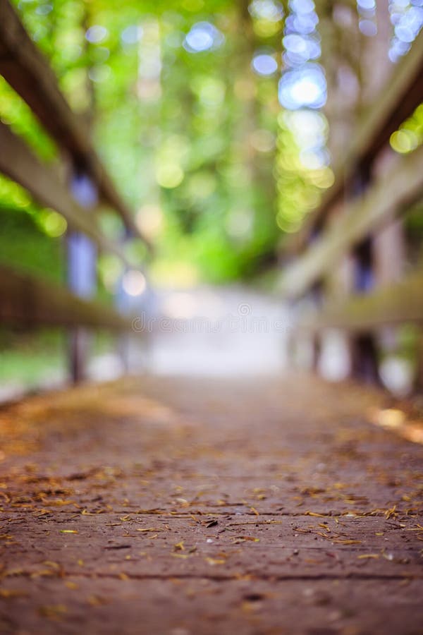 Adventures Journey, Self Discovery: Wooden Bridge in the Forest, Blurry  Background Stock Image - Image of beautiful, vacation: 176338981