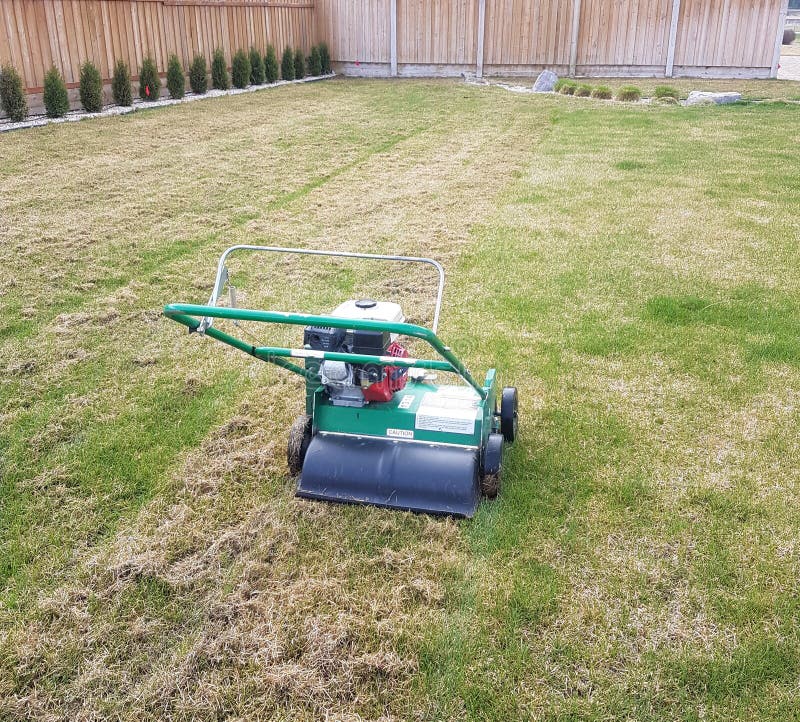 Aerating Lawn and Yard royalty free stock photo Aerating Lawn and Yard royalty free stock photo