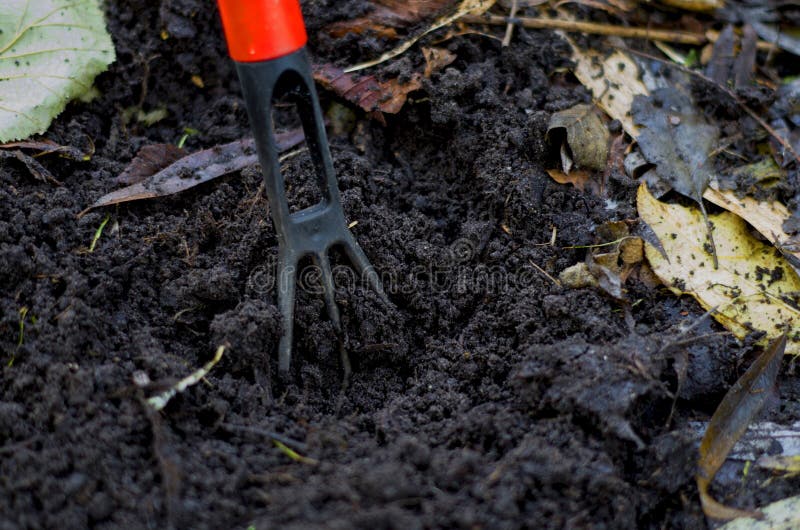 Aeration of healthy topsoil