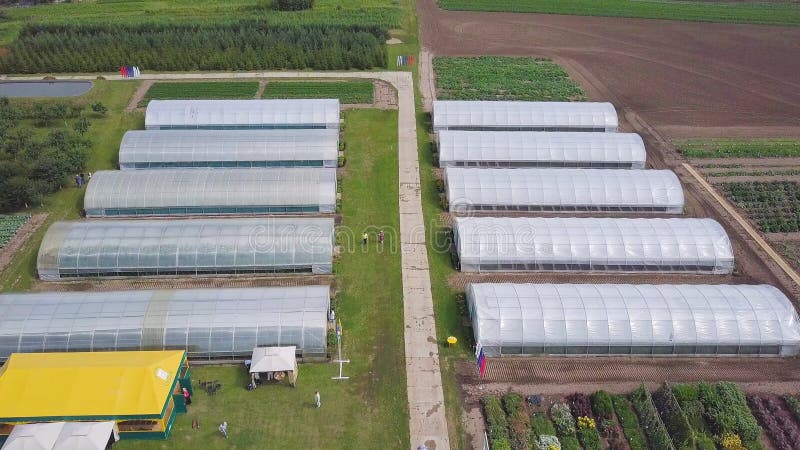 Aerial agricultural view of lettuce production field and greenhouse. Clip. Top view of the greenhouse royalty free stock image Aerial agricultural view of lettuce production field and greenhouse. Clip. Top view of the greenhouse royalty free stock image