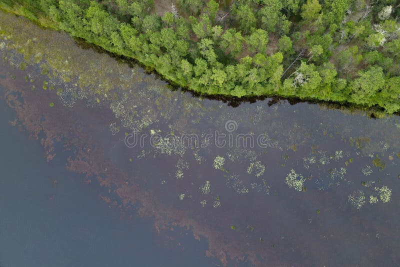 Aerial Detail of the New Jersey Pine Barrens and Mullican River