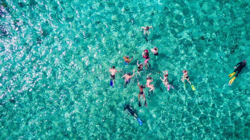 Aerial drone view of group of people snorkelling in tropical blue waters royalty free stock photo Aerial drone view of group of people snorkelling in tropical blue waters royalty free stock photo