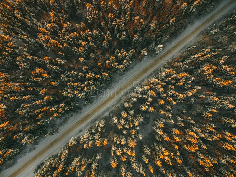 Aerial drone view of road in idyllic winter landscape. Street running through the nature from a birds eye view.