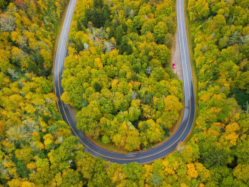 Aerial drone view of U Turn Road Curve in Autumn / Fall foliage overhead. Blue Ridge in the Appalachian Mountains near Asheville