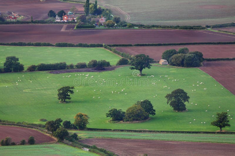Aerial farming fields and livestock